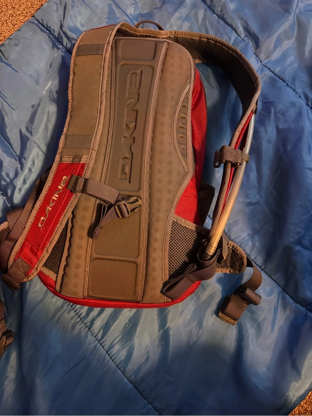 Dakine Red and Gray Men's Daypack Backpack